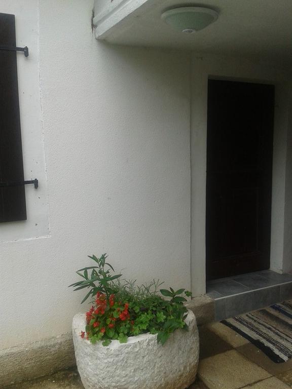 Apartment Kalikut Beli Room photo